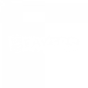 Beaver Scouts