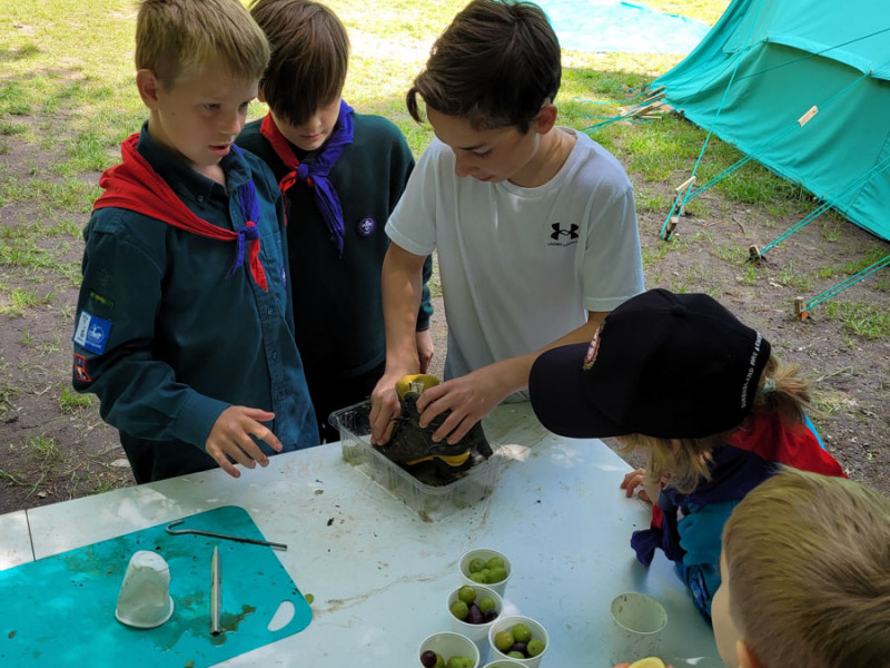 1st-Orwell-Scouts-Group-Camp-2023-070