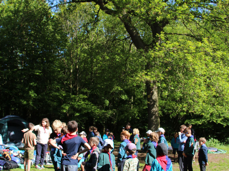1st-Orwell-Scouts-Group-Camp-2023-215