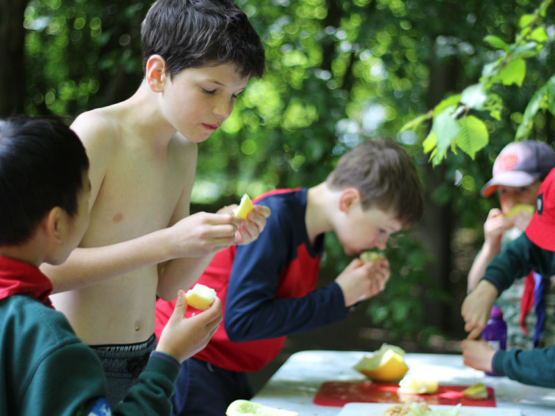 1st-Orwell-Scouts-Group-Camp-2023-219