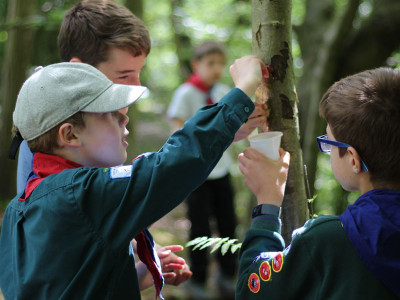 1st-Orwell-Scouts-Group-Camp-2023-222